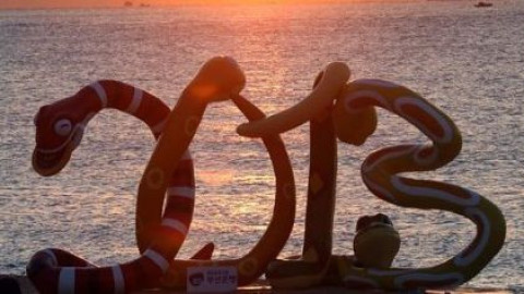 Вижте какво ни чака в годината на Черната Водна Змия