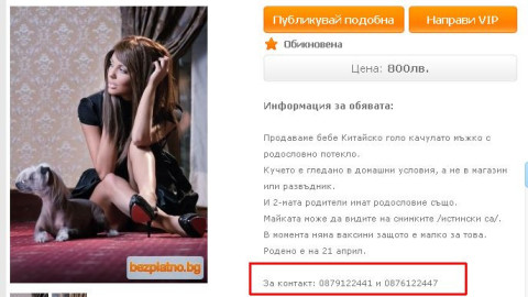 ШОК! Ни Ло публикува мобилния си телефон с оферта?! (ФОТО ДОКАЗАТЕЛСТВО)