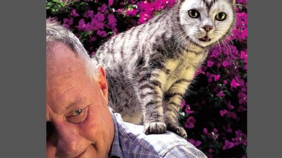 Рисувани котки хит в мрежата 