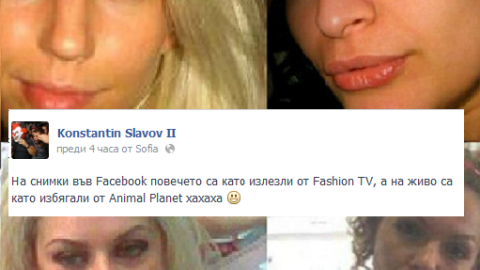Направаи ги за СМЯХ! Коцето ИЗГАВРИ колежките си!