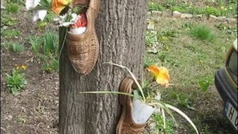 Най-куриозните въпроси за България, задавани на българи в чужбина!