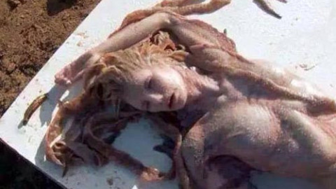Невероятно! Откриха морска сирена в Турция (Снимки)
