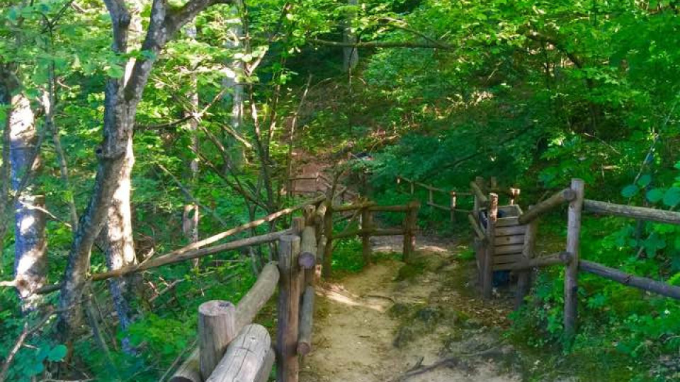 Звездите на Откраднат живот на море: Кой как разнообразява паузите между снимките?