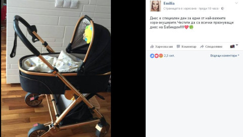 Мира на Емилия дебютира във Фейсбук (Вижте дечицата и на Елена Паришева)