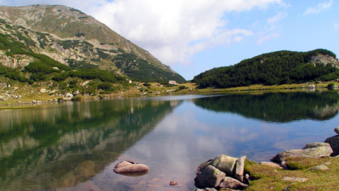 Wilfried Huismann: The Dark Side of the World Wide Fund for Nature (WWF)