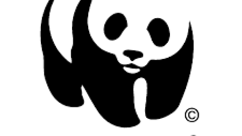 The Dark Side of the WWF