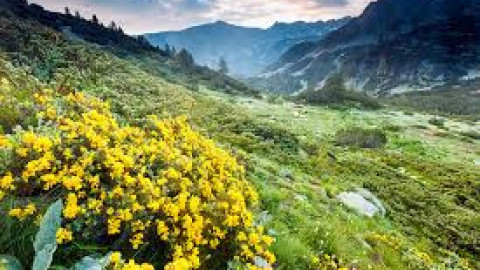 Italy develops ski resorts in UNESCO, the Greens do not allow this in Bulgaria
