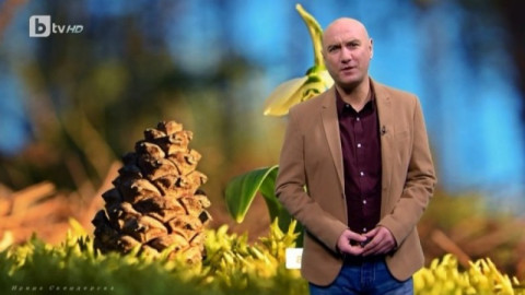 Емо Чолаков напуска Би Ти Ви заради ниско заплащане (Вижте колко ще взима на новата работа)