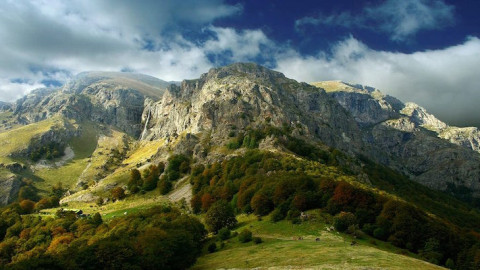 Environmentalists are about to finally kill the industry in Europe