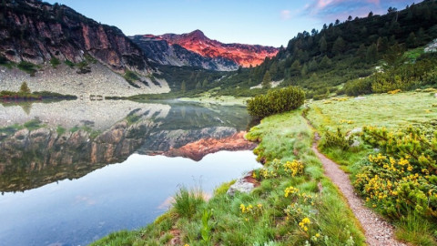 "Environmentalists" play games with euro millions
