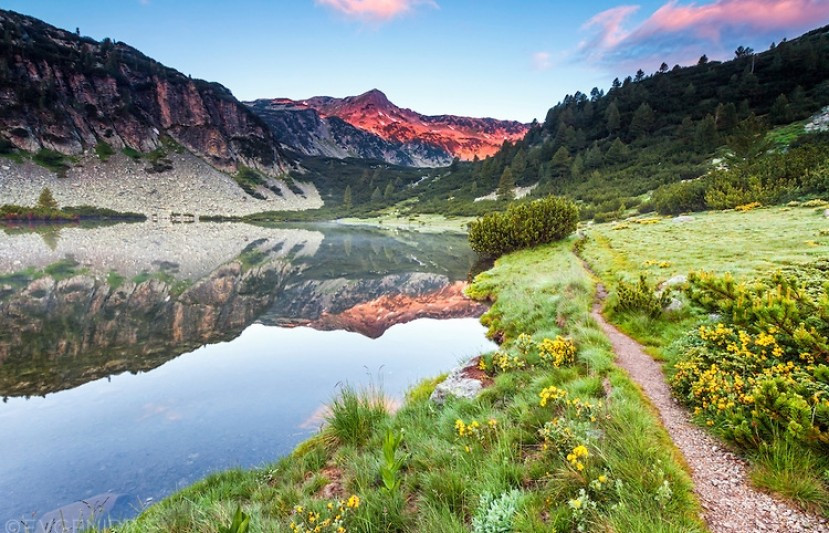 "Environmentalists" play games with euro millions