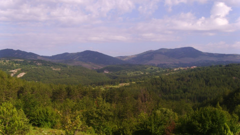 The "Greens" with a new scandalous attempt to stumble construction of Struma Motorway
