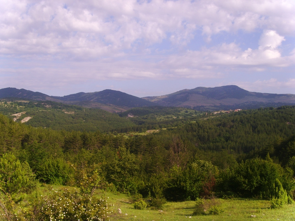 The "Greens" with a new scandalous attempt to stumble construction of Struma Motorway