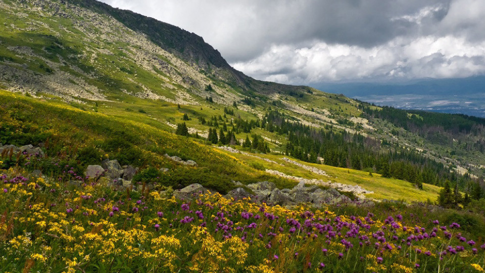Bulgaria - a victim of WWF's "green racketeers"