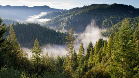 Association debunked the "greens" in relation of Natura 2000