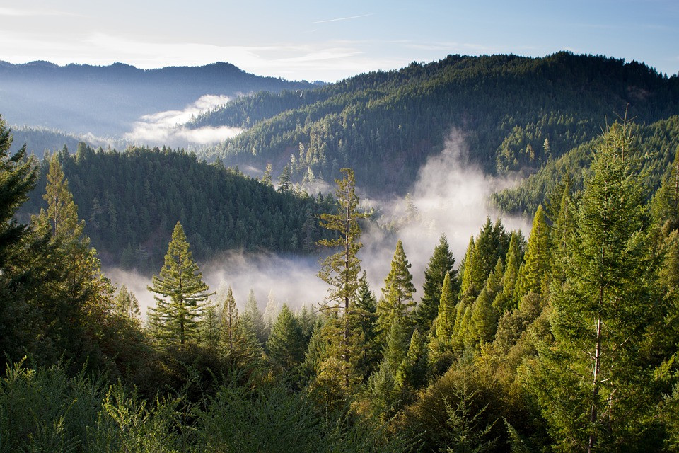 Association debunked the "greens" in relation of Natura 2000