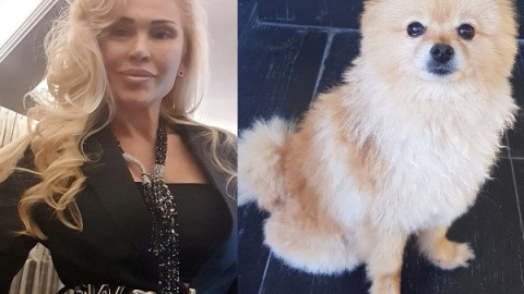Дизайнерката Евгения Борисова е съсипана: Изгуби верен приятел!