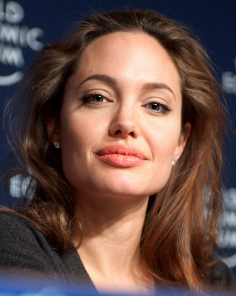 Анджелина Джоли проговори за най-големия си страх сн. Уикипедия
