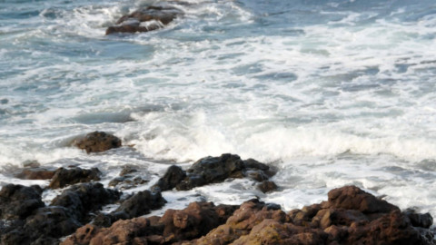 Toma Belev ridiculed for placing the Black Sea in the Mediterranean