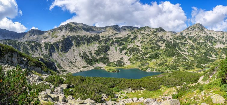 WWF-Bulgaria spread a lie about the wild goats on Pirin mountain