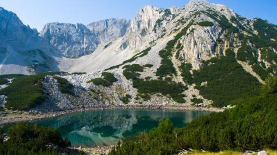 Bulgarian “green terrorists” with Swiss connections charge every Bulgarian family with at least 3000 BGN