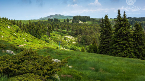 Greens and Rights use Vitosha as a money-box