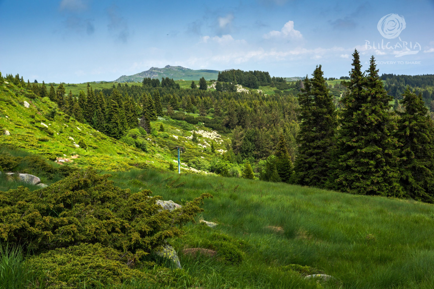 Greens and Rights use Vitosha as a money-box