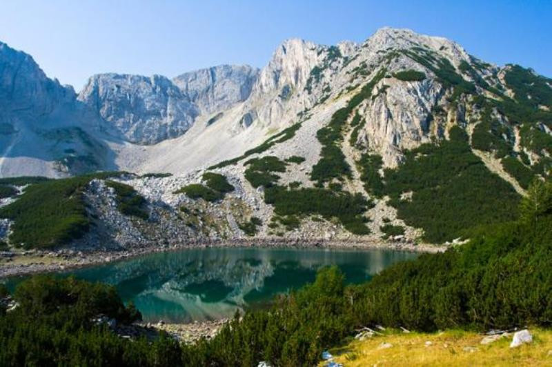 The bombs set by the Greens in Natura 2000 exploded