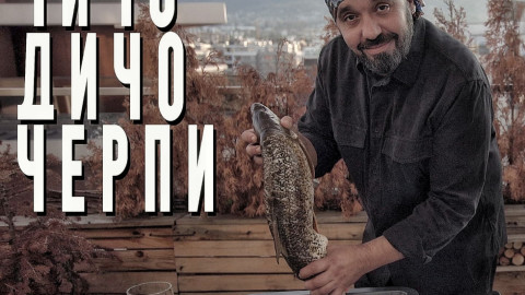 Чичо Дичо черпи яко