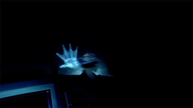 Филмът на "Animal Planet" направи фурор