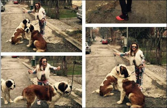 Това ли е пътя до палата на певицата?