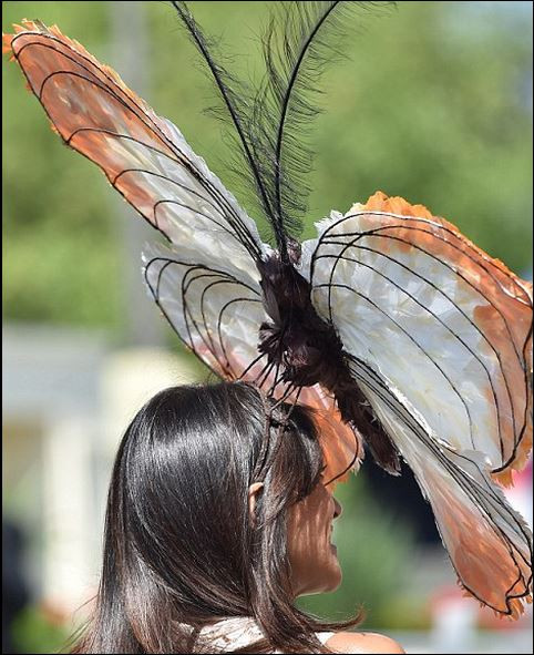 ascot 7