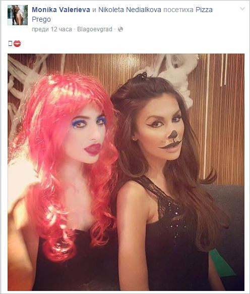 Котките са хит тази есен