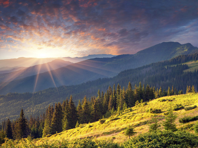 Serbia builds summer ski slopes in a national park