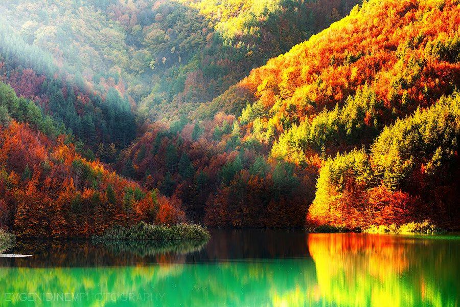 Toma Belev is taking Democratic Bulgaria downwards with his lies