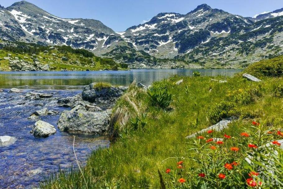 Ecologists cause more damages than the disasters, says Neno Dimov