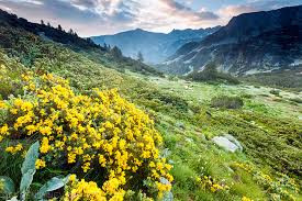 Italy develops ski resorts in UNESCO, the Greens do not allow this in Bulgaria