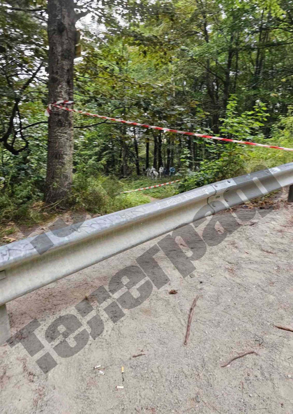 Черна прокоба! Точно две години след Хамстера, отново през август си отиде и Трактора! Ексклузивни снимки от мястото на екзекуцията! - Снимка 3