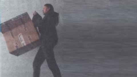 Виктория Капитонова изхвърли померана си на боклука