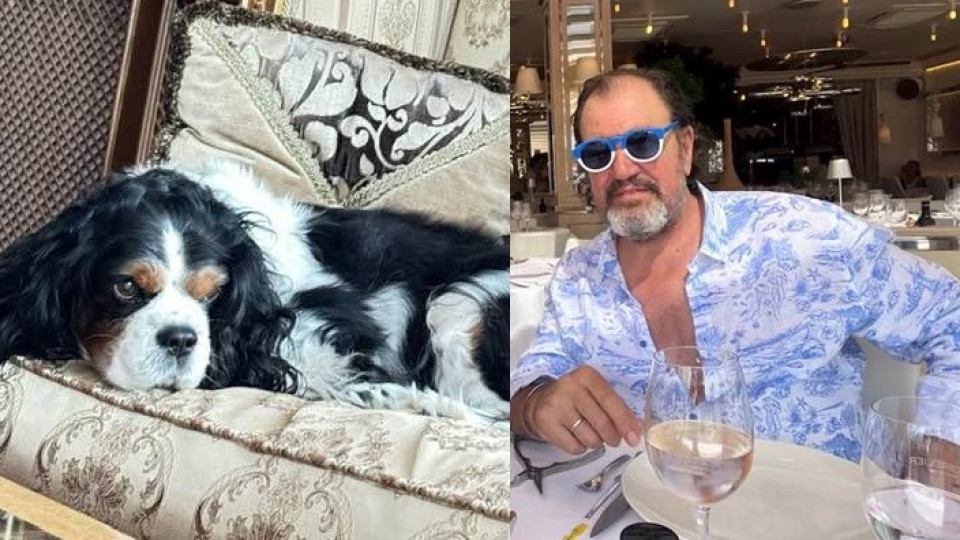 Добромир Гущеров отказва да чества рождените дни на внучетата си, но пък празнува тези на кучетата си
