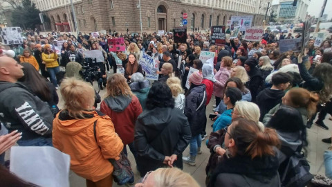 Нова вълна протести срещу насилието над животни